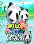 คู่มือการเล่น สล็อต เว็บ ตรง แตก ง่าย ที่ต้องรู้จัก